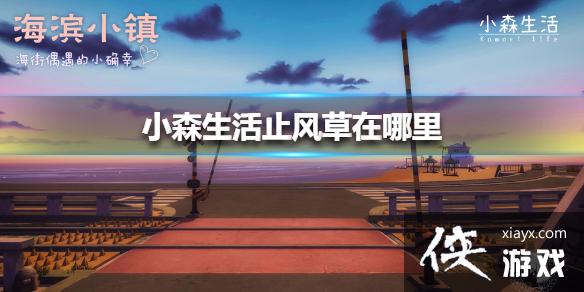 ��Сɭ���ֹ��������� ֹ���λ�ý���