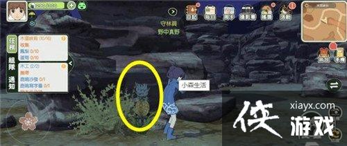 ��Сɭ������������� ����λ�ý���