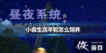 ��Сɭ���������ô���� ������������