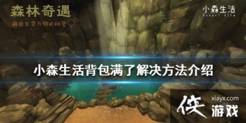 ��Сɭ�������������ô�� �������˽����������