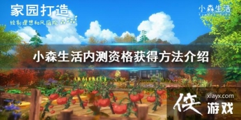 ��Сɭ����ڲ��ʸ���ô��� �ڲ��ʸ��÷�������