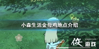 ��Сɭ�����ĸ������ ��ĸ���ص����