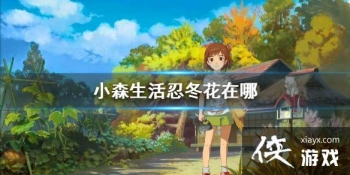 ��Сɭ����̶������� �̶������ˢ��һ��