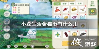 ��Сɭ�����è����ʲô�� ��è��ʹ�÷�������