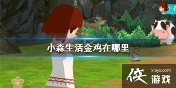 ��Сɭ����������� ��ˢ��λ�õص����