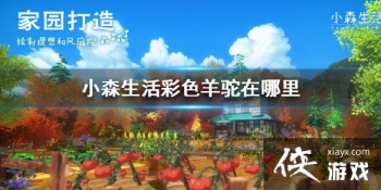 ��Сɭ�����ɫ���������� ��ɫ����λ�ý���