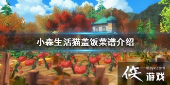 ��Сɭ���è�Ƿ���ô�� è�Ƿ���������