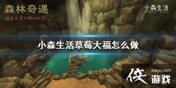 ��Сɭ�����ݮ����ô�� ��ݮ���䷽����