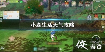 ��Сɭ���������ô�仯 �����仯����