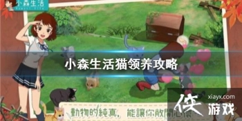 ��Сɭ���è��ô���� è��������