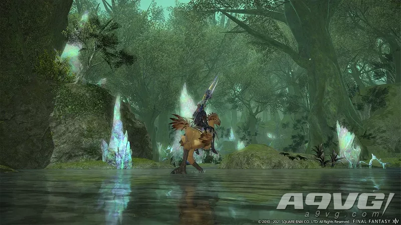 �����ջ���14��PS5��֧��DualSense��������������Ӧ���