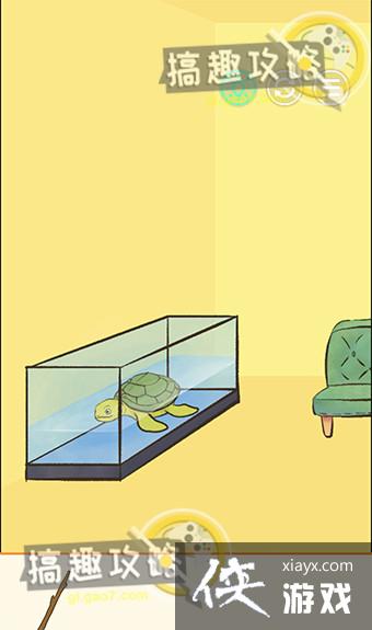 үү�ֲ�����11�ع���