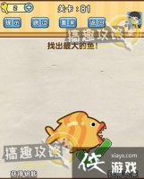 �Զ�������81�ع���