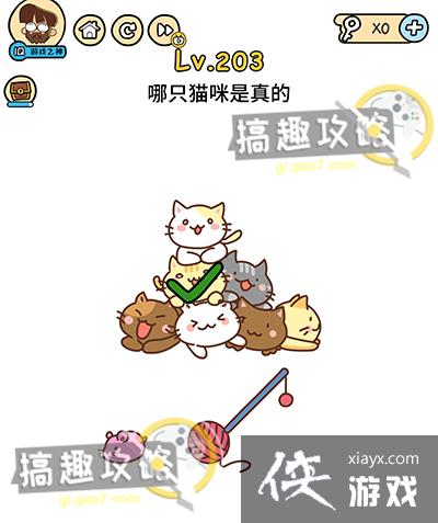 �Զ������203�ع���