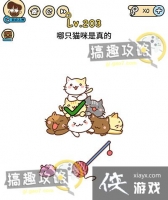 �Զ������203�ع���