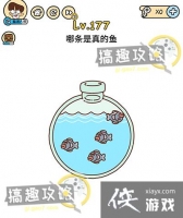 �Զ������177�ع���