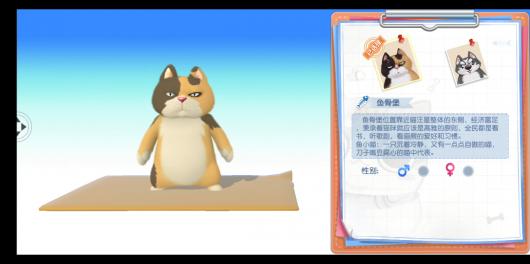 ������ Լս�ɣ��� ���ѡè����������һ��