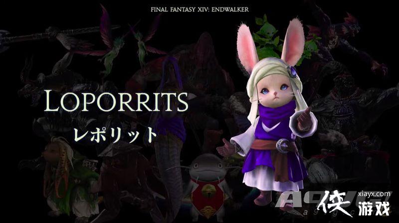 �����ջ���14 ���µ����ɡ�����������PV���� 11��23������