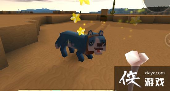 ����������ֵ�������ʲô�ã� ����������ֵ��������ý���