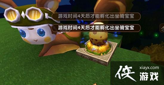 �������������ô���� �������������ô�ã�