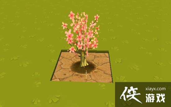 ��������ҡ������ô���� ��������ҡǮ���̳�