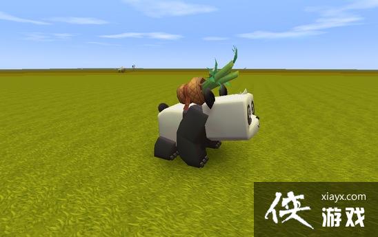 ����������èʲôʱ����� ����������èʲôʱ����£�