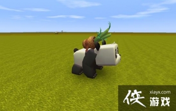 ����������è��ô��ֳ�� ����������è��ʲô�ã�