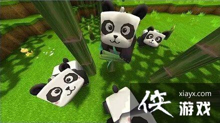 ����������è��ô���� ����������è����