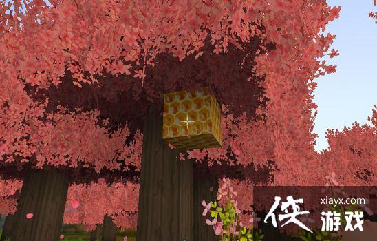 �������������ô�ã� ����������۲ɼ�����