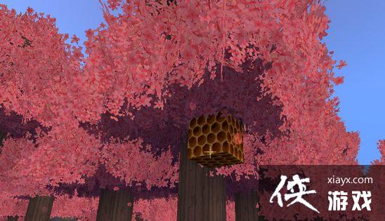 �������������ô�ã� ����������۲ɼ�����