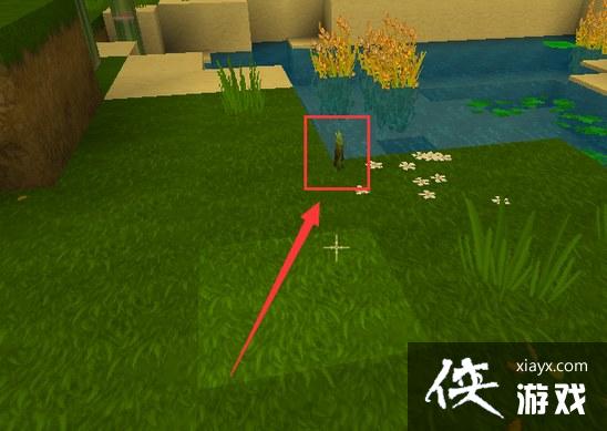 ��������������ô�� �������������÷���