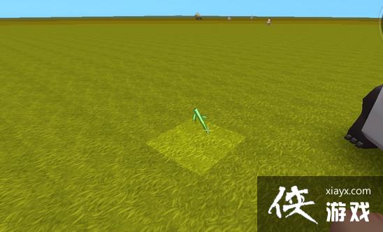 ����������è��ôѱ���� ����������è��������