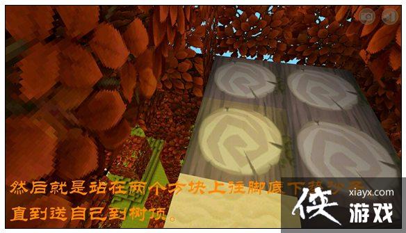 ����������ô���ٻ������� ��������ɼ�����ľ����