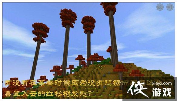 ����������ô���ٻ������� ��������ɼ�����ľ����