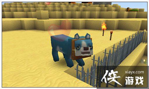 �������繷��ʳ����ʲô�� �������繷��ô��ֳ��