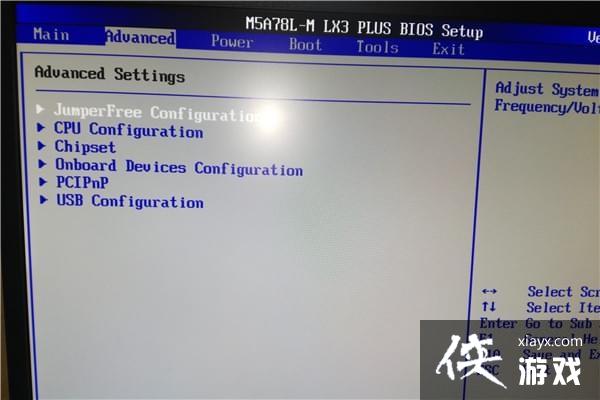 ��������AMD��������ô����� ��������AMD�治����