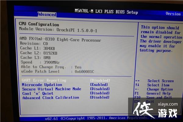 ��������AMD��������ô����� ��������AMD�治����