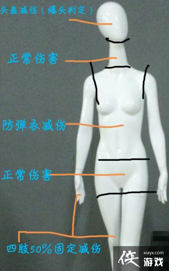 绝地求生大逃杀怎么判定爆头 绝地求生大逃杀吃鸡伤害效果图一览 绝地求生大逃杀怎么判定爆头 绝地求生大逃杀吃鸡伤害效果图一览