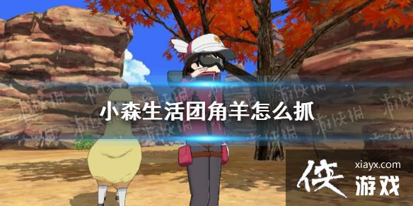 《小森生活》团角羊怎么抓 团角羊抓捕攻略 《小森生活》团角羊怎么抓 团角羊抓捕攻略