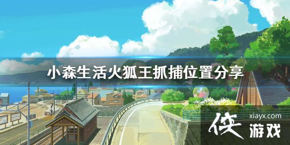 ��Сɭ����������ô��׽ �����ץ��λ�÷���