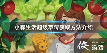 ��Сɭ���������ݮ��ô��ȡ ������ݮ��ȡ��������