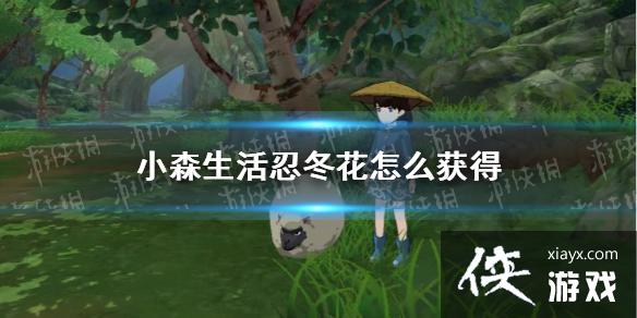 ��Сɭ����̶�����ô��� �̶����ɼ�λ�ý���