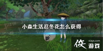 ��Сɭ����̶�����ô��� �̶����ɼ�λ�ý���