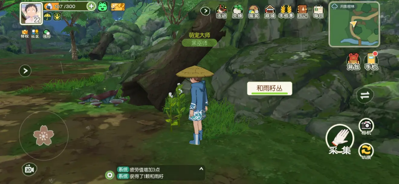 ��Сɭ��������������� ������λ�ý���