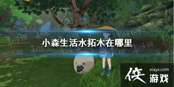 ��Сɭ���ˮ��ľ������ ˮ��ľλ�ý���