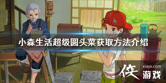 ��Сɭ�������Բͷ����ô��� ����Բͷ�˻�ȡ��������