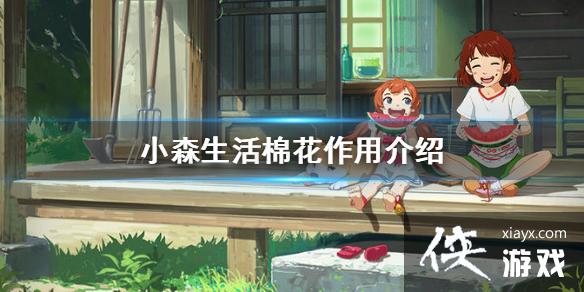 ��Сɭ����޻���ʲô���� �޻����ý���