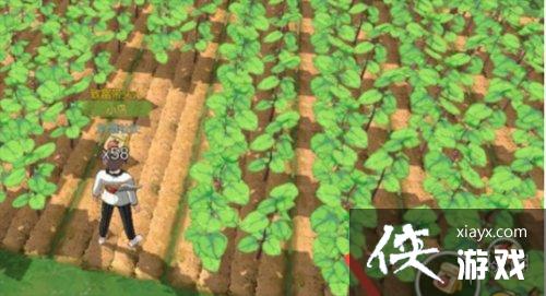 ��Сɭ����޻���ʲô���� �޻����ý���