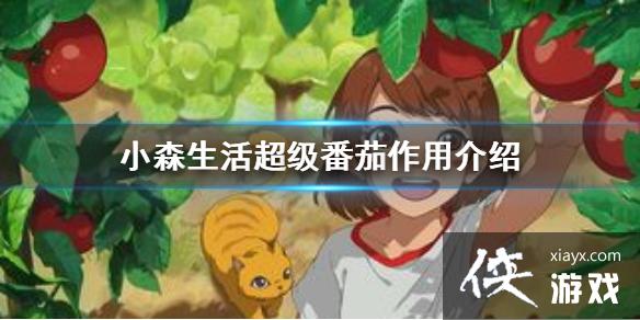 ��Сɭ�������������ʲô���� �����������ý���