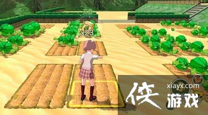 ��Сɭ�������������ʲô���� �����������ý���